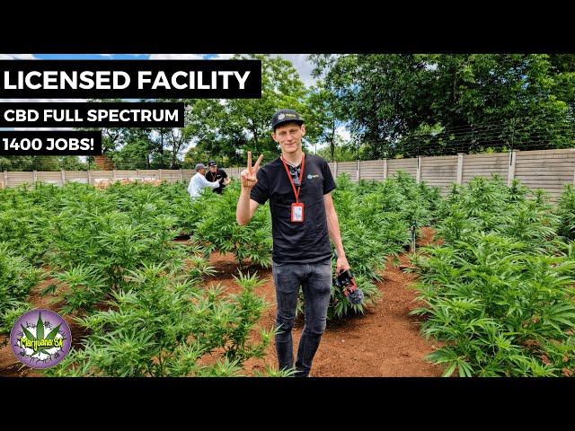 Revisit - Licensed Cannabis Facility 2021