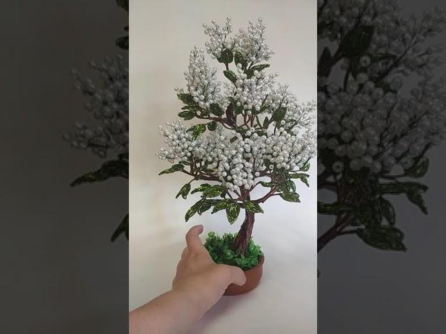 серенька