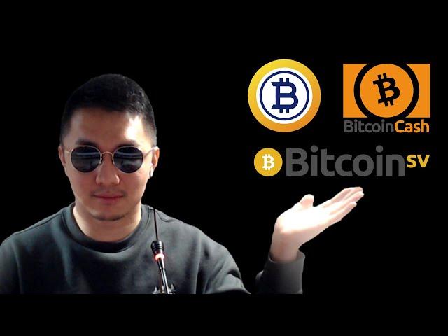 BTC 하드포크 자산 [긴급] 비트코인캐시, 비트코인에스브이, 비트코인골드, 이캐시 "총정리" 정확도 100% 차트분석, 영상 필수시청! #코인시황