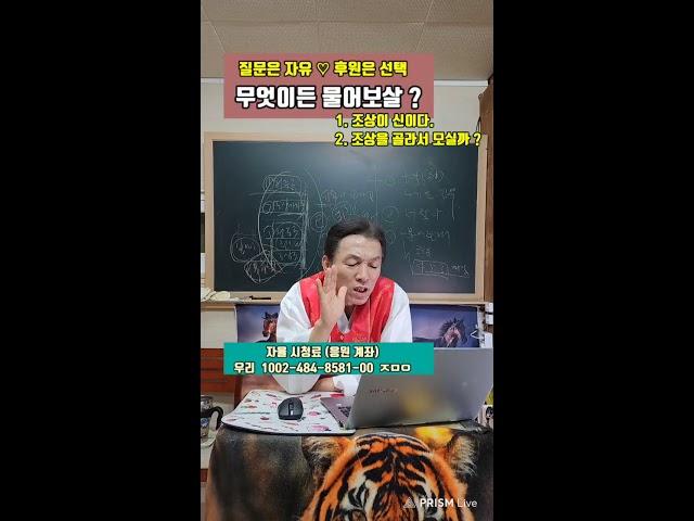 1.무당은 조상이 신이다. 2. 무당이 조상을 골라서 모실까 ? #무당 #굿 #신기 #신가물 #영등할매 #바람신
