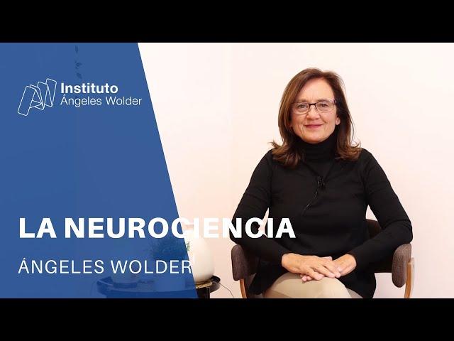 ¿Qué es la neurociencia?