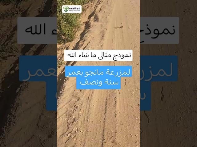 نموذج لأفضل مزرعة عمر سنة ونص ممكن تشوفها في حياتك