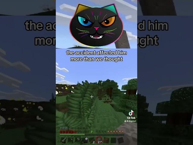 Zimb glam bleeg | #minecraft | FT.Ayvee_TK | Dogmut on #Twitch