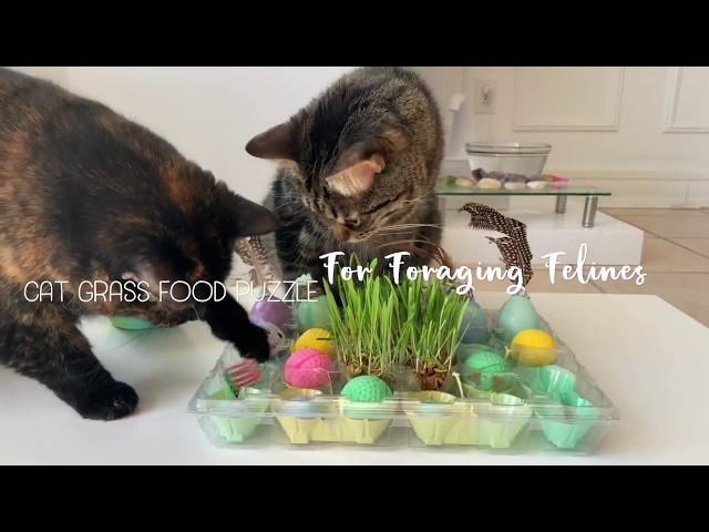 Cat Grass Food Puzzle For Foraging Felines