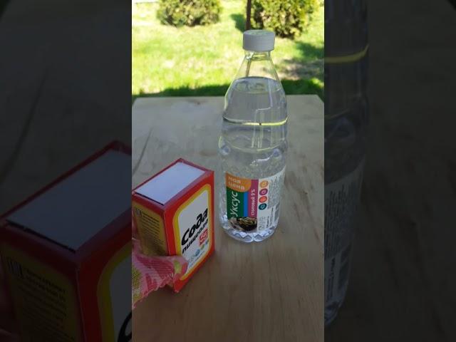 Уничтожение МУРАВЬЕВ в огороде БЕЗ ХИМИИ!