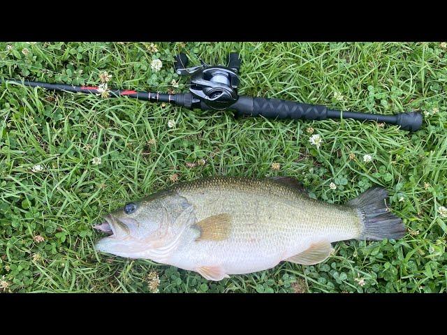 Cast to catch Cl8bait baby muskrat 1 Swimbait