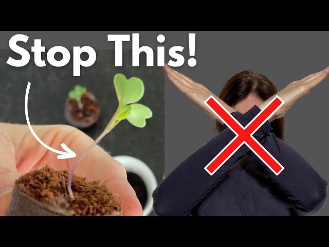 FIX LEGGY SEEDLINGS - Don't Start Over, Do THIS Instead!