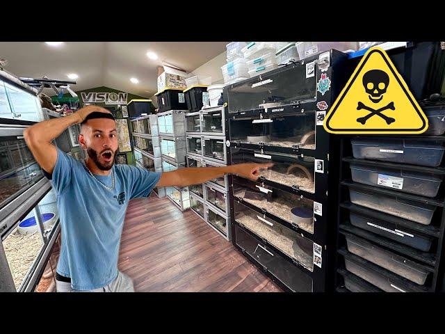 TOURING Tyler Nolan Most DANGEROUS Snake Room + TATTOOING my Leg??