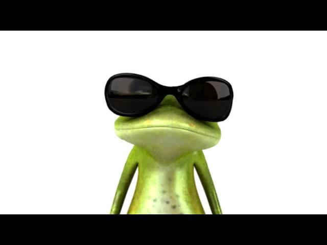 Frog in sun glasses mrsroadrunner.com