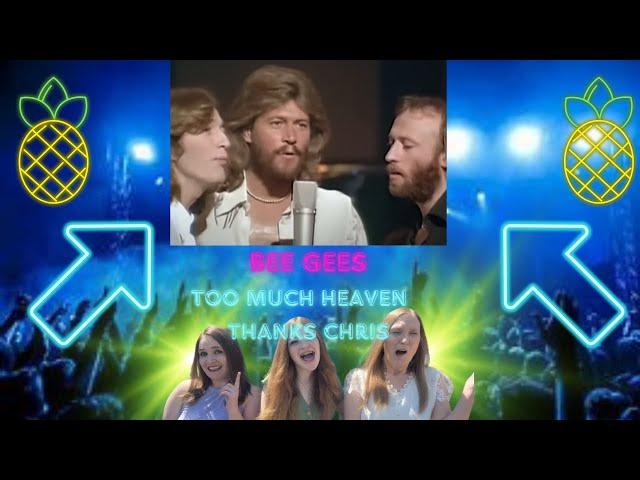 First Time Seeing | Bee Gees | Too Much Heaven | 3 Generation Reaction