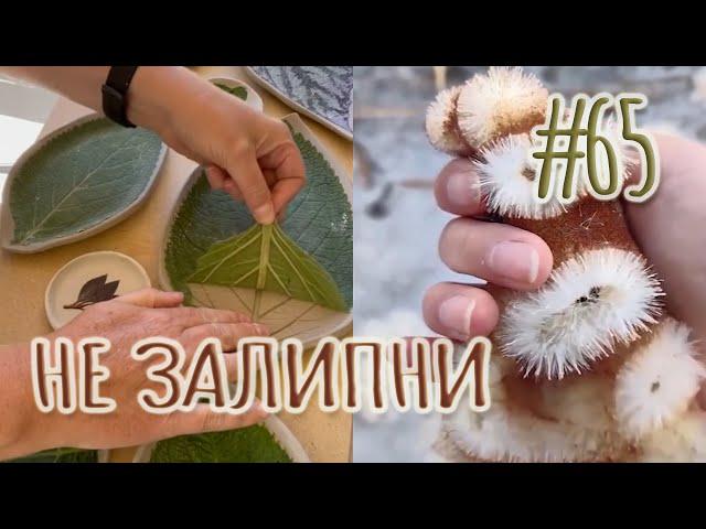 ЗАЛИПАТЕЛЬНЫЕ ВИДЕО ДЛЯ СНА ► РОЛИКИ ДЛЯ РЕЛАКСА СО ВСЕГО МИРА (СЕНТЯБРЬ 2022) #65