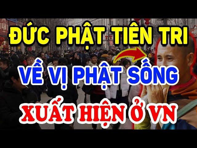 Tiết Lộ LỜI TIÊN TRI Chấn Động Thầy THÍCH MINH TUỆ Là Phật Sống Xuất Hiện Ở VN ? | Triết Lý Tinh Hoa