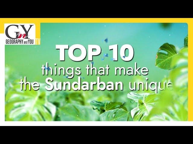 Top 10 things that make the Sunderban unique