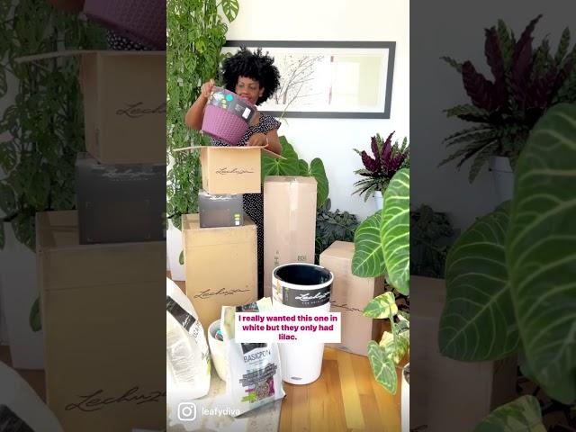 Unboxing Lechuza Self Watering Planters - #Plants #unboxing