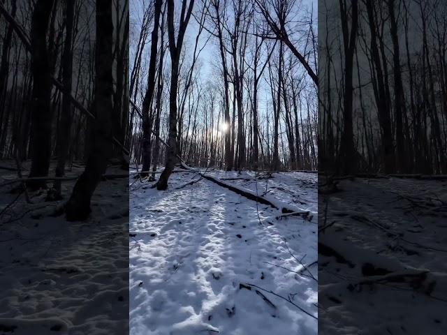 Правильные мысли #любовь #жизнь #судьба #счастье #отношения
