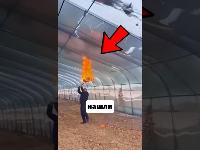 Это Гениально