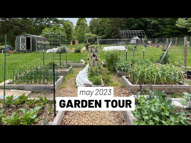 MAY 2023 Full homestead vegetable garden tour -- EVERYTHING has been planted!