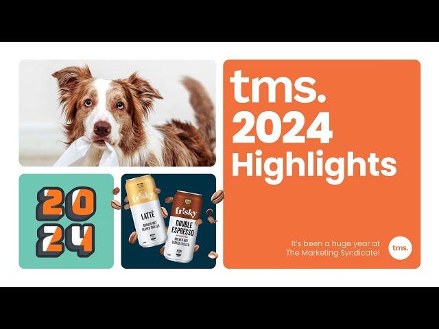 The Marketing Syndicate 2024 Hype Reel | Our Biggest Campaign Highlights of the year