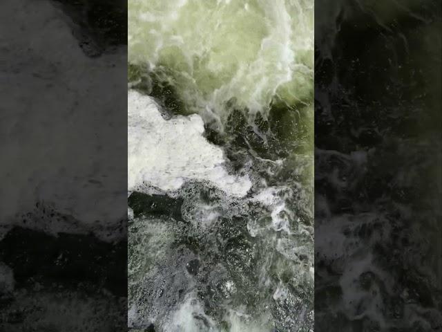 Социальные процессы такие же плавные, как и природные | #социология #природа #вода