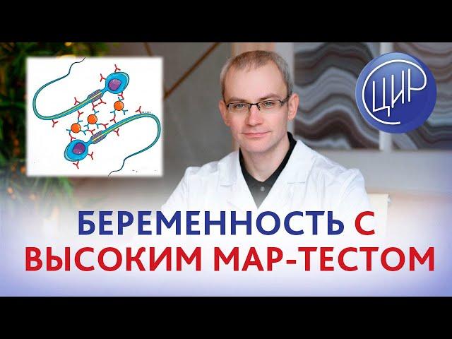 Возможна ли беременность с высоким мар-тестом? Уролог-андролог ЦИР, к.м.н, Живулько Андрей Романович