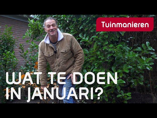 Wat te doen in Januari in de tuin? | Tuinieren | Tuinmanieren