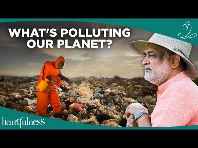 How Can We Stop Pollution?