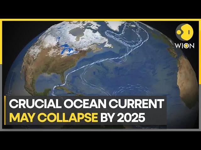 Gulf Stream Atlantic oceanic currents could collapse as early as 2025: Study | WION Climate Tracker