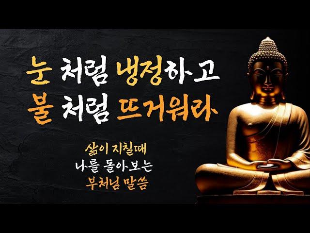 삶이 지칠때 마음을 바로 잡아주는 부처님 말씀 모음 - 눈처럼 냉정하고 불처럼 뜨거워라 |오디오북|인생조언|동기부여|불교 명언