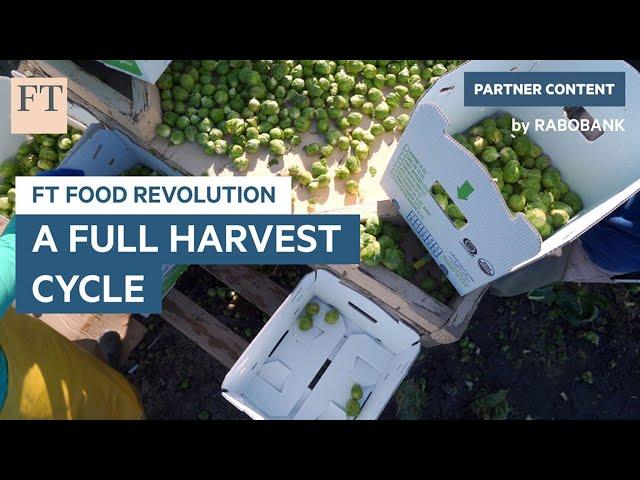 Full Harvest: the online marketplace that is reinventing the supply chain | FT Food Revolution