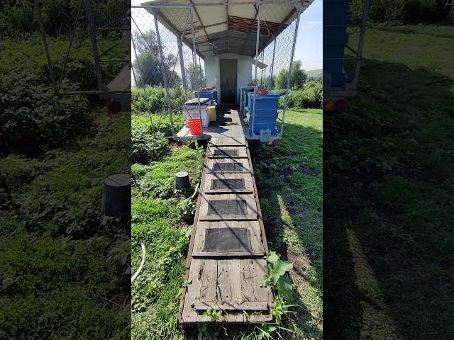 Как устроена пасека. Мой прицеп. Часть 1 #пасека #пчеловодство