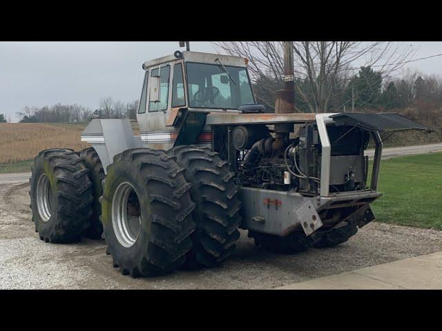 Elenor The White 4-270 Gets Her First Bath In Years