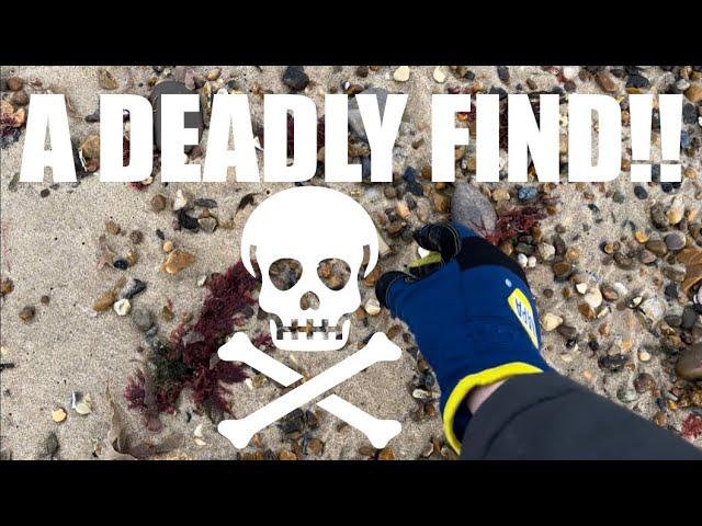 Beach combing uk, A DEADLY FIND!