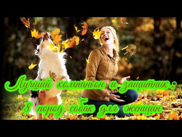 Лучший компаньон и защитник 8 пород собак для женщин Dog breeds for women