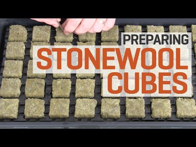 How To Prepare and Pre-soak Rockwool Cubes for Hydroponics—The Right Way!