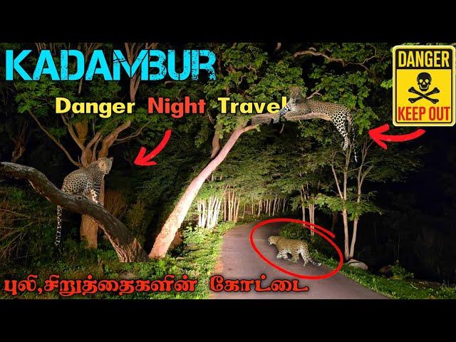 அதி பயங்கர கடம்பூர் இரவு பயணம் kadambur danger night travel #kadambur #forest #animals #wildlife