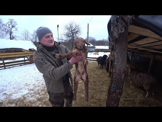 В ГОРОДЕ БЫЛ ПРОДАВЦОМ а НА ХУТОРЕ СТАЛ КРЕСТЬЯНИНОМ. УЕХАЛ в ЛЕС ЖИВУ ОДИН. №293