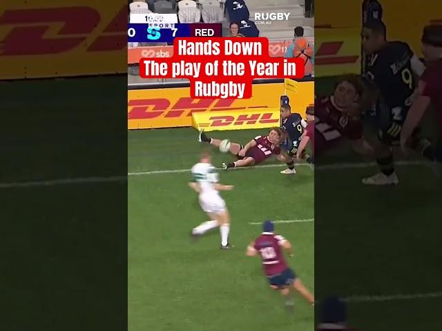 Hands Down the play of the Year in Rubgby #rugby