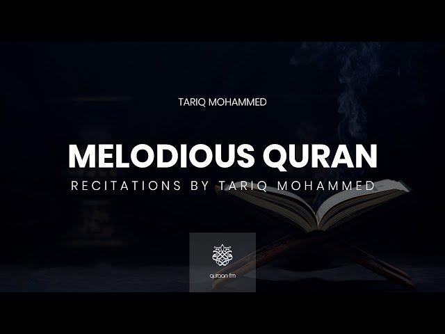 All Quran Recitations by Tariq Mohammed | طارق محمد