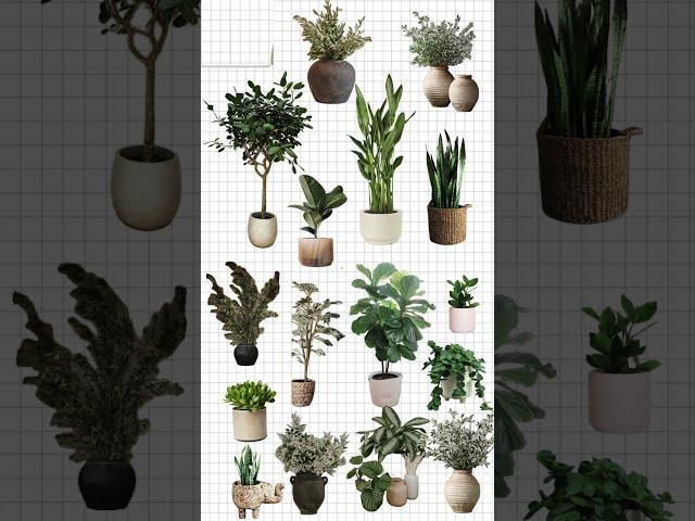 Green Glow-Up!  Transform Your Room with Stylish Planters! 