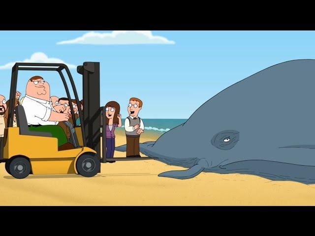 Family Guy - gestrandeter Wal / Gabelstapler - Szene aus S12E09