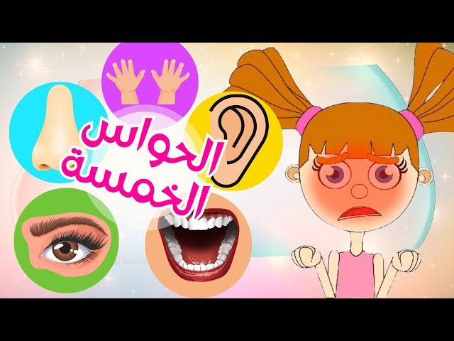 أغنية الحواس الخمسة للاطفال | My Five Senses