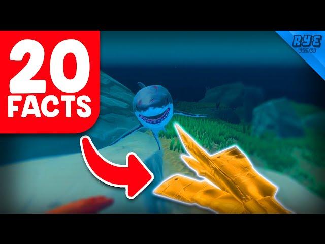 20 Secret Facts About Raft...