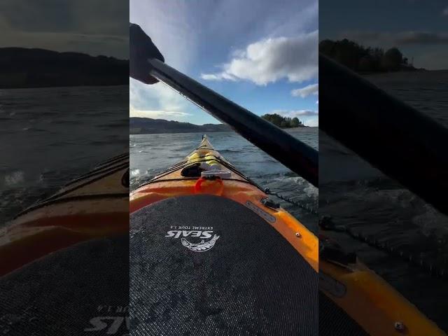 Baffin (3).mp4