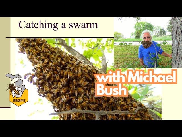 Catching Swarms with Michael Bush