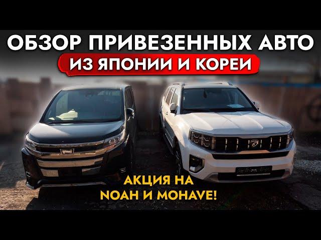 ПРИВЕЗЛИ НОВЫЙ YARIS, FREED️ TOYOTA NOAH, KIA MOHAVE В НАЛИЧИИ️ СНИЖЕНИЕ ЦЕН️ ОБЗОР СТОЯНКИ