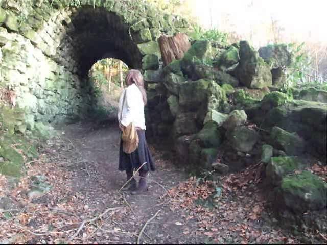 SpiritsNightSilence Investigation Wardour Woods