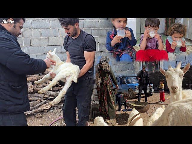 A Beautiful Sunny Day ️ Schuliz Family Makes Yogurt & Vaccinates Goats 