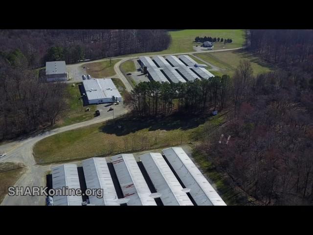 Drone Exposes Warehoused Research Beagles
