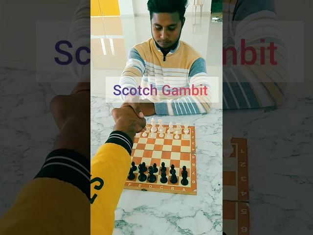 Scotch Gambit ! There's nothing more exciting than checkmate ! #chess #chesstraps #tricks #short