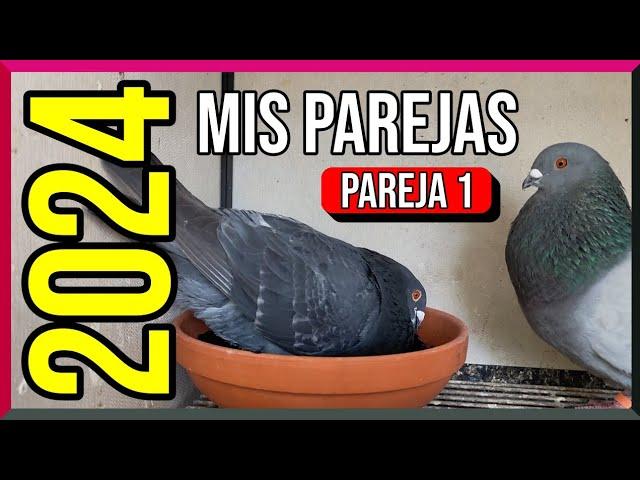 Parejas 2024  | Esta es la primera  MORAO con madre de don TOMASINO 